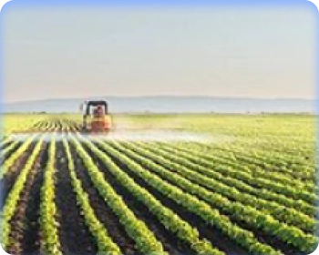 Agricultura