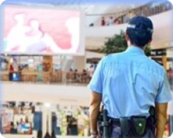 Seguridad Pública y Privada